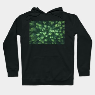 Top down aerial view of pine forest Hoodie